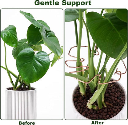 6PCS Plant Stem Support, Copper Monstera Plant Support, Unique Designed Stable Plant Support Stakes for Plants Stabilizer, Turtle Shell Bamboo Clamp Set for Outdoor & Indoor Plants Thriving Growth