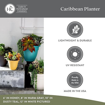 The HC Companies Caribbean Planter Pot - Outdoor & Indoor Plant Pot with Drainage Hole & Plug - Rolled Rim Plastic Pots for Plants & Flowers - Decorative Plant Pot (6" Black, Pack of 1)