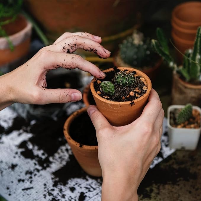 Succulent and Cactus Soil Potting Mix 2.2 LBS, Bonsai Soil Mix Ready to Use, Fast Draining with Added Nutrients