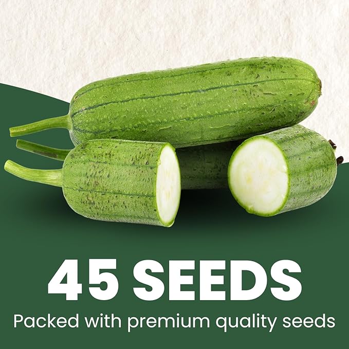 Luffa Gourd – 45 Premium Seeds for Planting – Natural Sponges, Vigorous Vines, Abundant Harvests for The 2026 Season – 5 Gram Pouch