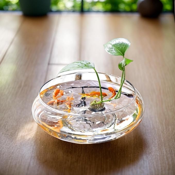 Lotus Bowl Planter, Glass Lotus Flower Bowl, Lotus Bowls For Planting In Water Indoors, Suitable to Succulent Plants Flower Hydroponic Plant Without Bracket
