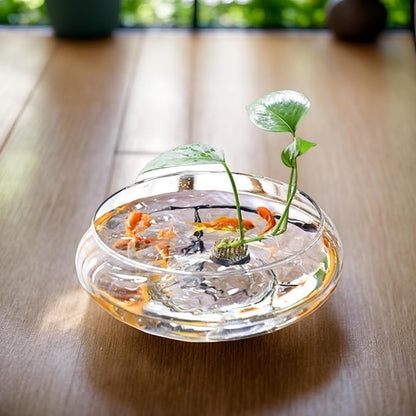 Lotus Bowl Planter, Glass Lotus Flower Bowl, Lotus Bowls For Planting In Water Indoors, Suitable to Succulent Plants Flower Hydroponic Plant Without Bracket