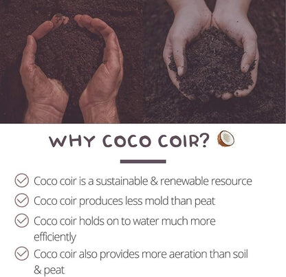 Pure Coconut Coir Netted Seed Starting Pellets - 42mm - Pack of 100 - Sustainable, Renewable, Unamended - Superior to Peat Plugs - High Water Holding - Minimize Root Loss & Transplant Shock