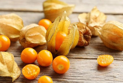 200+ Seeds Strawberry Ground Cherry - Physalis - Vegetable Orange