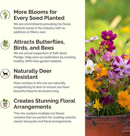 Eden Brothers Crazy for Cosmos Flower Mixed Seeds for Planting, 1/4 lb, 120,000+ Seeds with Cosmos Gloria, Pinkie, Purity | Attracts Pollinators, Plant in Spring or Fall, Zones 3, 4, 5, 6, 7, 8, 9, 10