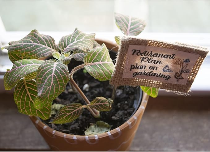 Abbey & CA Gift Retirement Plan Flag Flower Pick