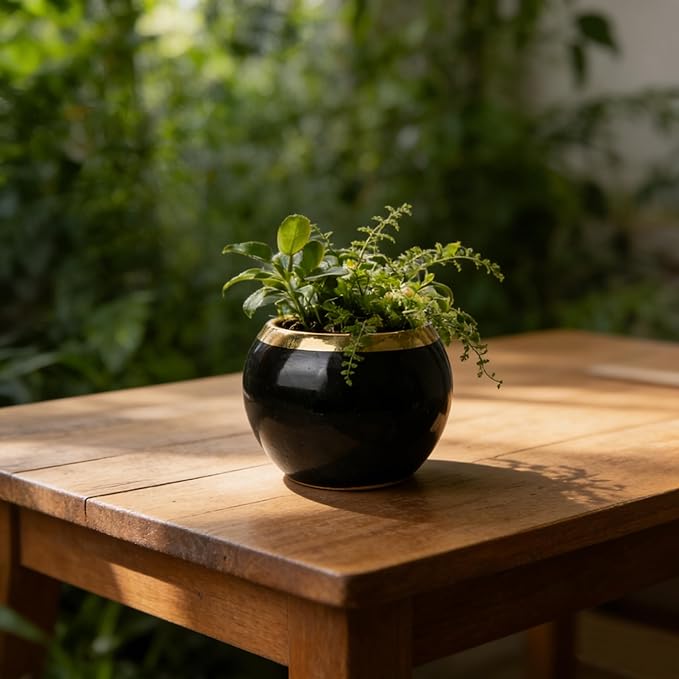 Black Gold Spherical Ceramic Plant Pots Succulent Small Planter Indoor Modern Decorative Indoor-Outdoor Garden Plant Pots with Drainage Holes - Plants Not Included 3.94 x 3.94 x 3.15 Inch