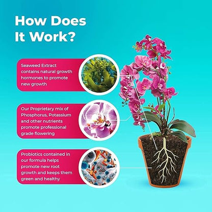 Orchid Food Fertiliser - Liquid Concentrated Garden Fertilizers for Orchid Plants 100 ml Fast Growth with Strong Root & Long-Blooming