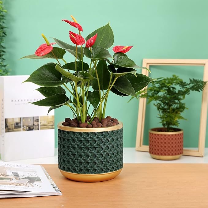 6&4.4 Inch Cement Planter Decorative Pots with Drainage Hole for All House Plants, Succulents, Flowers, and Cactus (Gold Green)