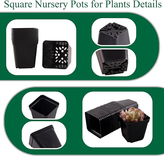 50 Packs Square Nursery Pots for Plants 2.8 Inch Succulent Plant Pots Set Plastic Seedling Starting Pots with Drainage Holes Nursery Pots Variety Pack Flower pots Planter Seed Starter, Black