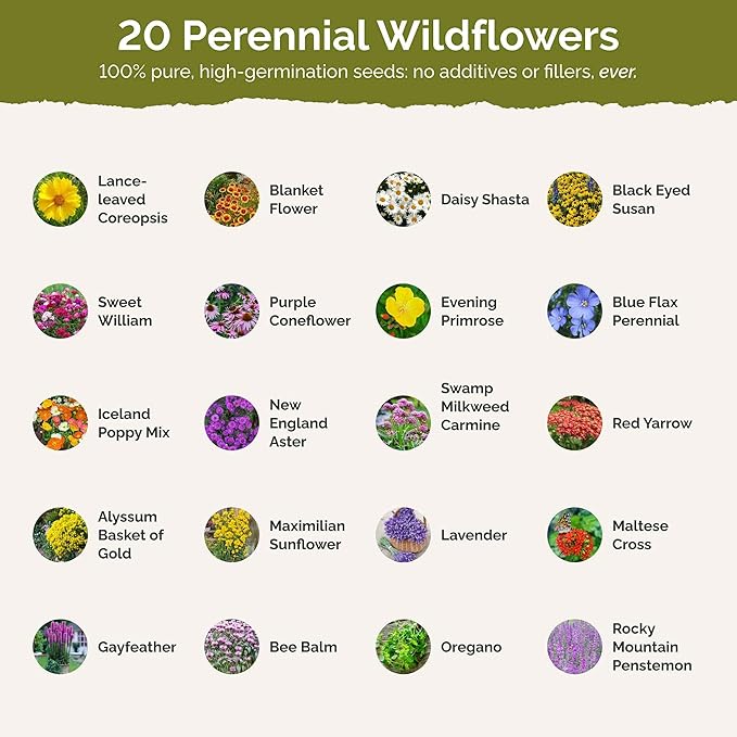 Eden Brothers Perennial Pollinator Wildflower Mixed Seeds for Planting, 1 lb, 480,000+ Seeds with Blue Flax, Coneflower | Attracts Pollinators, Plant in Spring or Fall, Zones