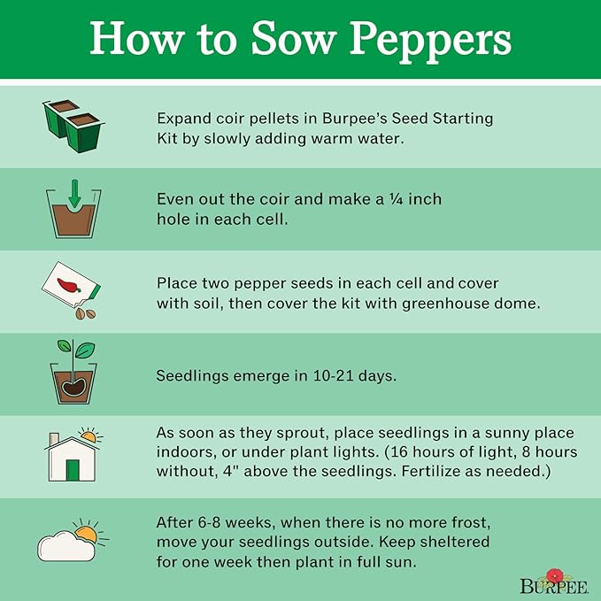 Burpee Big Guy Hot Pepper Seeds 30 seeds