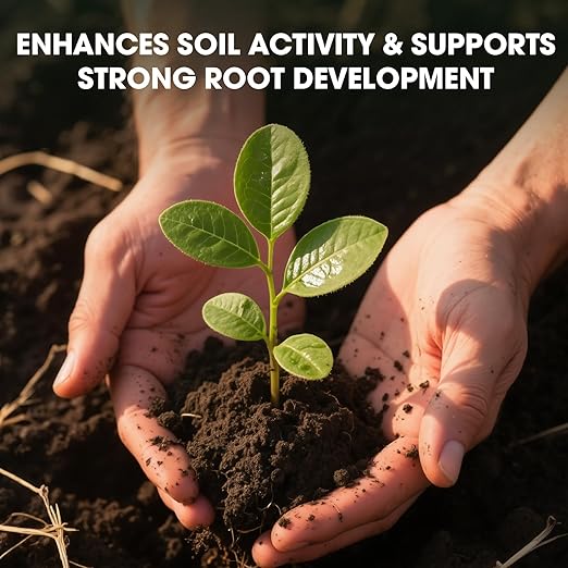 Soil Activator for Plants(35.2 oz / 1000g), Organic Soil Activators and Plant Fertilizers for Garden Beds, Potting Mix, Seedling Compost, Root Growth Booster