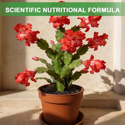 All-Natural Christmas Cactus Potting Soil Mix 1qt- Premium Well-Draining & Aerated ，Designed Specifically for Succulents and Cacti