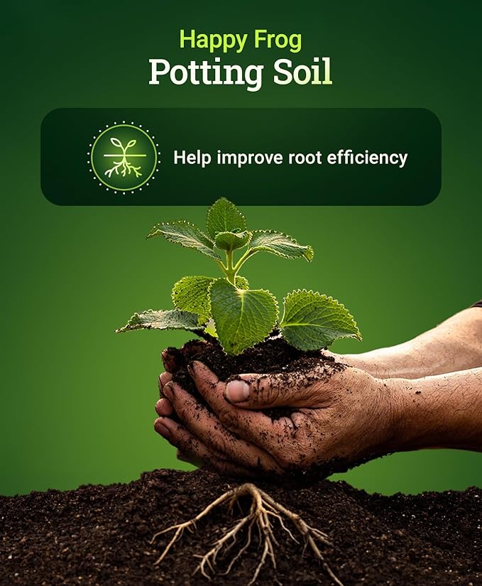 FoxFarm Happy Frog Potting Soil, 12qt – for Indoor/Outdoor Container Plants, Improves Root Efficiency, pH Adjusted for Optimal Nutrient Uptake – Contains Microbes and Humic Acids (Pack of 4)