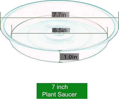 6 Pack of 7 inch Plant Saucer, Heavy Duty Plastic Plant Water Tray 7 inch Round, Flower Plant Saucers for Indoors No Holes, Plant Dishes Saucer for Planter 7"/8" (7", Black)