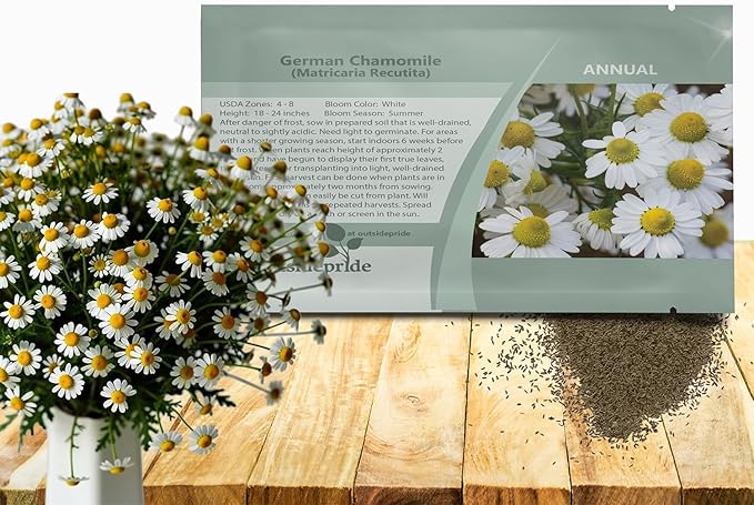 Outsidepride German Chamomile Seeds - 10000 Pcs Annual, Drought Tolerant, Self-Seeding & Versatile, Herb Seeds for Planting Sweet Scented Daisy-Like Blooms, Ideal for Slopes & Pollinator Gardens