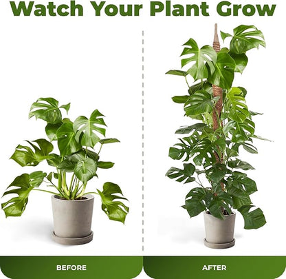 48 Inch Bendable Moss Pole Monstera Plant Support for Climbing Indoor Plants - Stakes for Potted Climbers - Tall Sticks Indoor Trellis for Houseplants - Accessories for Monstera Pot