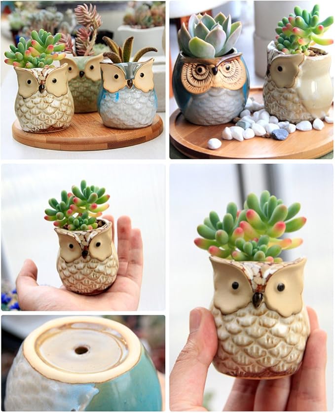 6 Pcs 2.5 Inches Owl Pots, Little Ceramic Succulent Bonsai Pots with a Hole - Pack of 6