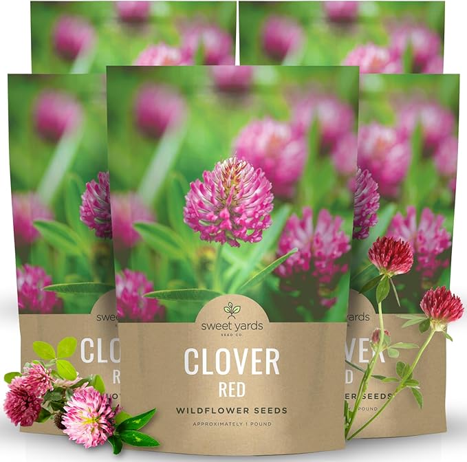 Red Clover - Bulk 5 Pounds - 1,200,000 Flower Seeds for Planting - Trifolium pratense