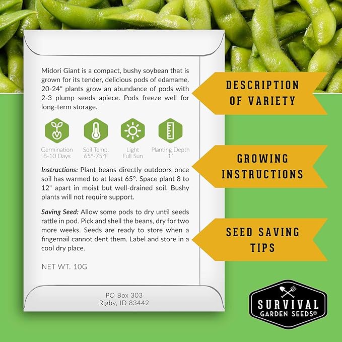 Midori Giant Soybean Seeds for Planting - Grow Protein-Rich Edamame Pods in Your Home Vegetable Garden - Non-GMO Heirloom Soy Bean - Survival Garden Seeds (3 Packs)