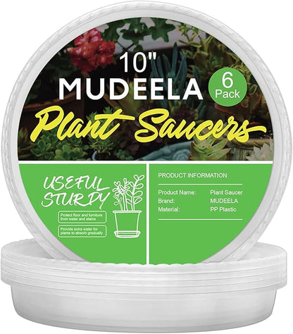 MUDEELA 6 Pack of 10 Inches Plant Saucers for Indoor, Durable Plastic Round Plant Tray Plant Dish Pant Plate to Catch Water for Flower and Plant Pot, Thicker, Stronger, Deeper, Clear