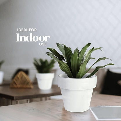 12pcs Mini White Pots – Small White Pots for Indoor or Outdoor Plants, Mini Planters for Flowers and Greenery, for Plant Lovers