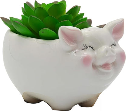 Cuteforyou Succulent Pots, Cute Animal Pig Shaped Ceramic Cactus Flower Planters -Plant Not Included (White, Small)
