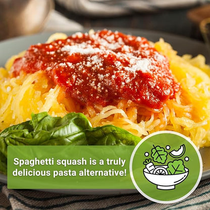 Sow Right Seeds - Spaghetti Squash Seeds for Planting - Non-GMO Heirloom Packet with Instructions to Plant and Grow an Outdoor Home Vegetable Garden - Roast and Enjoy Eating This Favorite Variety (1)