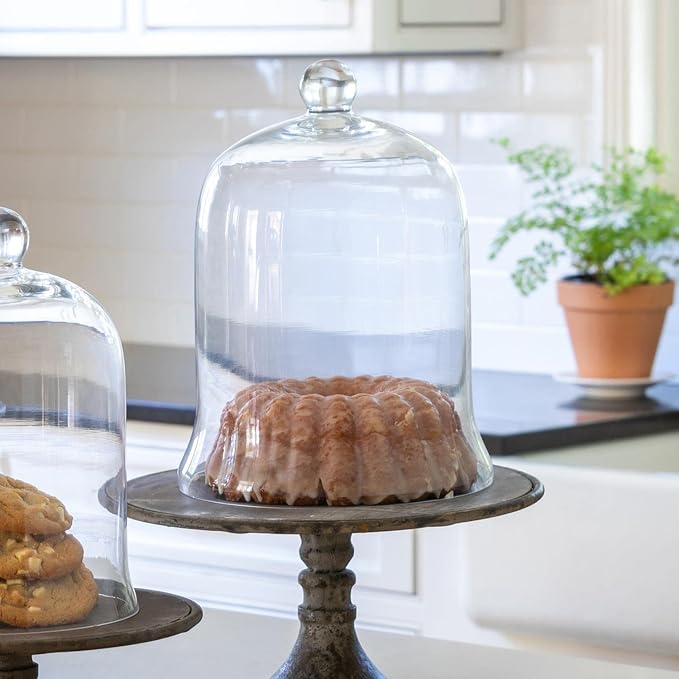 Glass Cloche Bell Jar - Plant Terrarium - Centerpiece Dome Display (12.5" x 9")