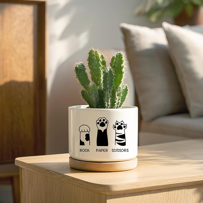 Funny Cat Ceramic Planter Pot, Cute Succulents Pots for Indoor Cat Lover Women Friends Coworker Sister Bestie Birthday, Office Desk Windowsill Decor (Plants Not Included)