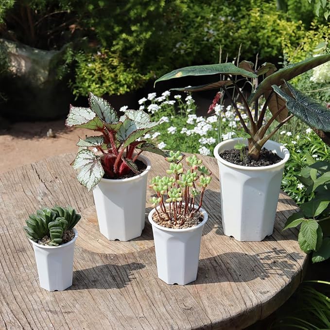 BangQiao 17 PCS 3.55" Plastic Deep Nursery and Seedling Pots, Transplant Seed Starter Planter, White
