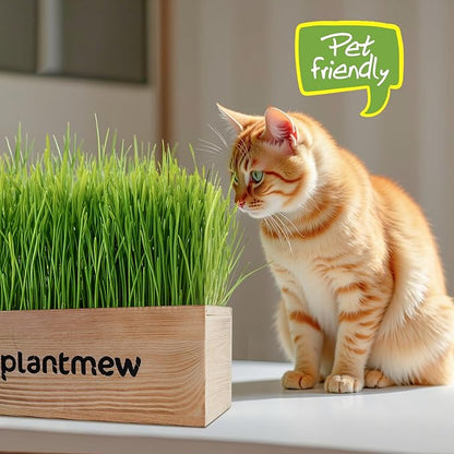 Cat Grass Kit for Indoor Cats - 3 Pack with Cat Grass Seeds, Nutrient Soil & Planter Pots | Complete Growing Set for Fresh Pet Grass (Non-GMO Wheat Grass)