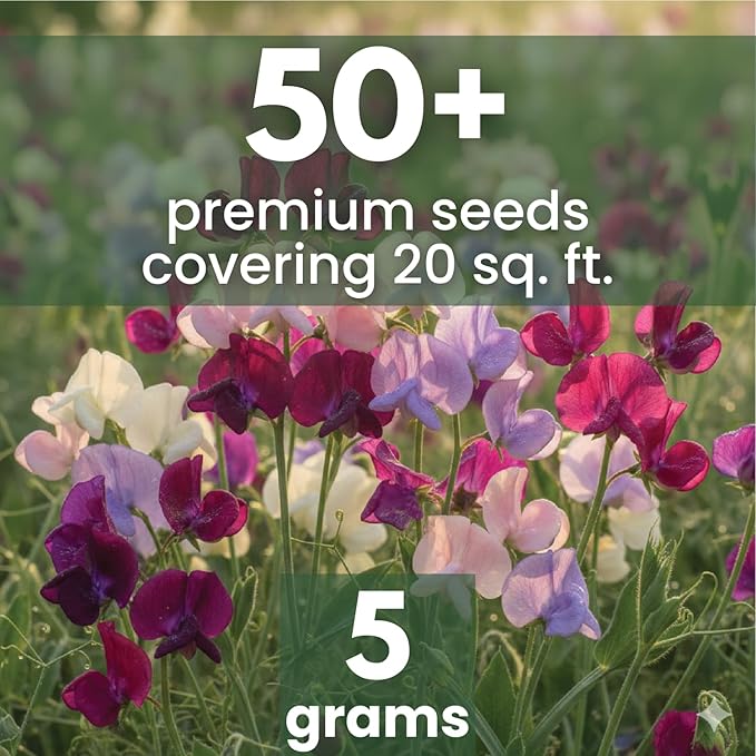 Sweet Pea Royal Family Mix – 50 Seeds for Planting – 2026 Season – 5 Grams