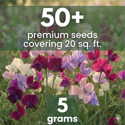 Sweet Pea Royal Family Mix – 50 Seeds for Planting – 2026 Season – 5 Grams