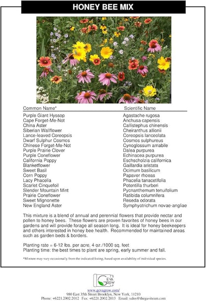 Bulk Wildflower Seed Mix – Honey Bee Wildflower Seed Mix 1 Pound Tub by GevaGrow | Bulk 300,000+ Seed Tub | 19 Variety Flower Seeds for Planting in Pots & Outdoor Gardens | No Messy Bags or Packets |
