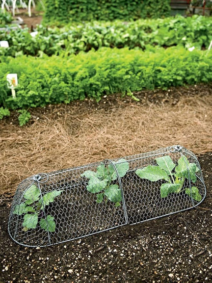 Gardener’s Supply Company Chicken Wire Cloche Garden Row Plant Protector | Sturdy Metal Protection for Seedlings and Crops from Wild Animals & Pets | 2 Section Set