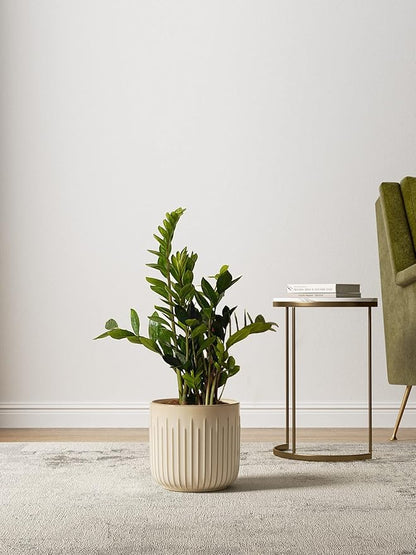 LE TAUCI Fluted Ceramic Pots for Plants, 8.3/7/6 Inch Indoor Planters with Drainage Holes & Mesh, Modern Glossy Glaze Cylinder Plant Pot for Snake Plant, Set of 3, Sand Beige