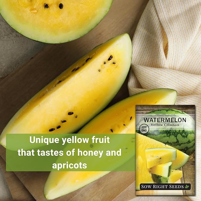 Sow Right Seeds - Yellow Crimson Sweet Watermelon Seed for Planting - Non-GMO Heirloom Packet with Instructions to Plant a Home Vegetable Garden - Rare Yellow Flesh Melon with Sweet Flavor (3)