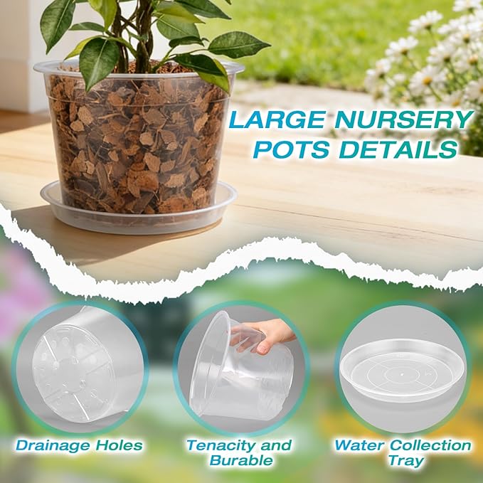 8/10/12 Inch Clear Nursery Pots with Drainage and Sacuers, 15 Pack Plastic Pots for Plants Indoor Outdoor, Variety Large Clear Pots for Flowers, Succulents (8/10/12inx5pcs)