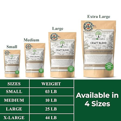 BuildASoil Fertilizer for Vegetable Garden and Organic Plant Food | Hand-Crafted Organic Fertilizer with 15 Premium Ingredients | Ensures Larger Plants and More Fragrant Flowers (3 LB - Small Bag)