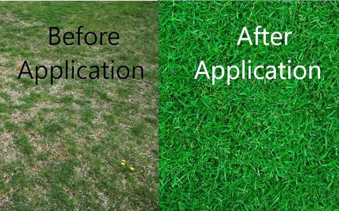 Old Cobblers Farm™ Wicked Tuff Turf Winter Rye for Lawn No Till Food Plot Seed Fall Cover Crop Mix (5 lbs | 10 lbs | 15 lbs | 20 lbs) (20 lb)