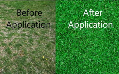 Old Cobblers Farm™ Wicked Tuff Turf Winter Rye for Lawn No Till Food Plot Seed Fall Cover Crop Mix (5 lbs | 10 lbs | 15 lbs | 20 lbs) (20 lb)