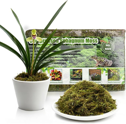 Compressed Sphagnum Moss for Plants & Reptiles (1pc)– Dried Peat Moss, Moisture-Retentive for Indoor Plants, Orchids, Terrariums, Reptile Bedding (100% Natural, Reptile-Safe