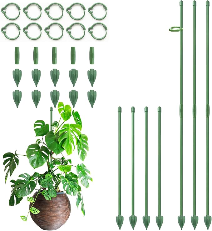 Plant Stakes for Indoor Plants, RIFNY 12 Inch Plant Support Stakes with Clips, Tall Adjustable Plant Sticks for Indoor Monstera Tomato Orchid Potted Plants Flower (10 PCS, Green)