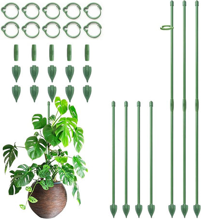 Plant Stakes for Indoor Plants, RIFNY 12 Inch Plant Support Stakes with Clips, Tall Adjustable Plant Sticks for Indoor Monstera Tomato Orchid Potted Plants Flower (10 PCS, Green)