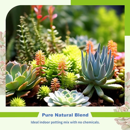 Succulent and Cactus Soil Potting Mix 4qt-Premium Breathable & Fast Draining for Healthy Plants