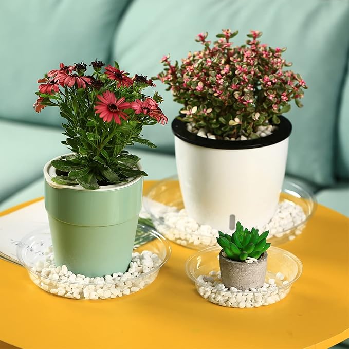 9 Packs 12 Inches Large Clear Plant Saucers for Indoor Outdoor Use Heavy Duty Plastic Plant Trays for Planter Flower Pot Drip Trays to Catch Water, 4 to 20 Inch, Round Transparent