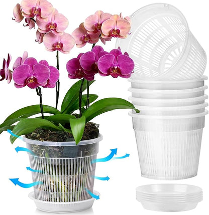 T4U Orchid Pot, 6 Pack 6.3 Inch Orchid Pots with Holes and Saucers, Clear Orchid Pots for Repotting, Plastic Flower Plant Pot for Indoor Outdoor Plants, Slotted Orchids Planter for Root Health