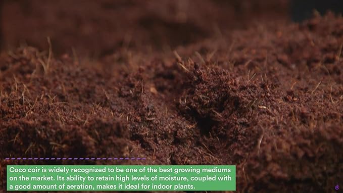 FloraFlex 1 GAL QUICKFILL O2 Coco Coir Brick for Plants - 60% WHC - 20 count mesh wrapper - 94L / 25 gal expanded